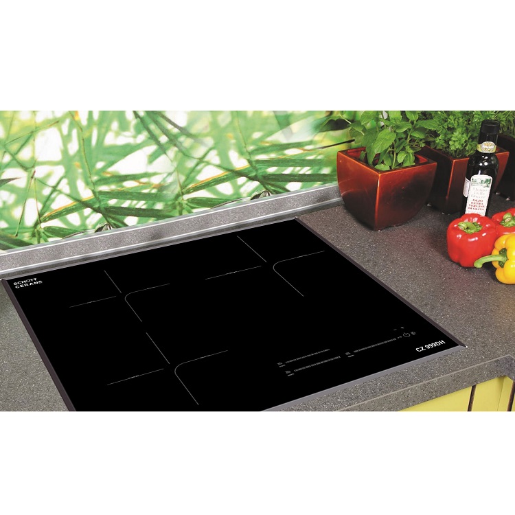 Bếp Từ Canzy CZ 999DH