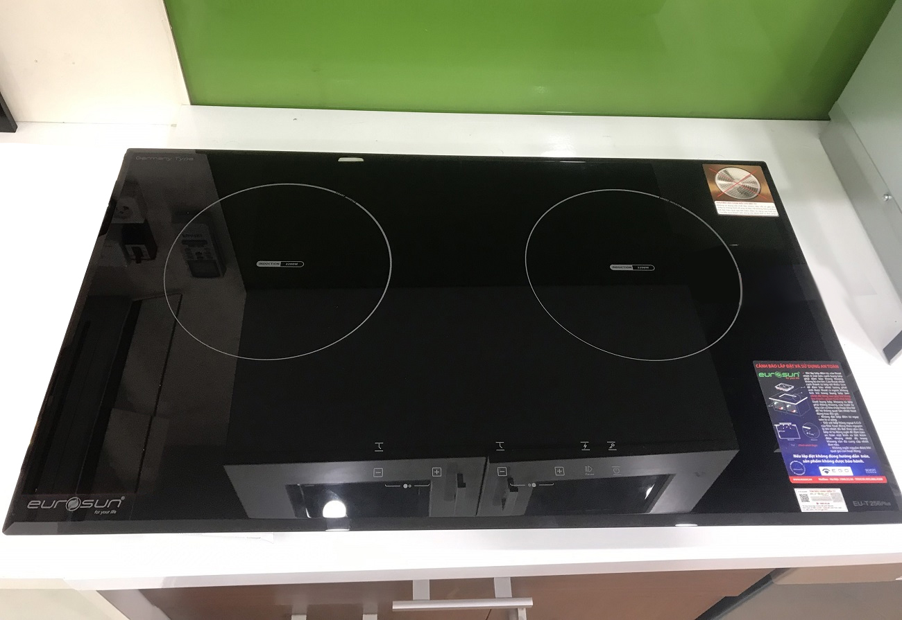 Bếp từ đôi Eurosun EU-T256Plus