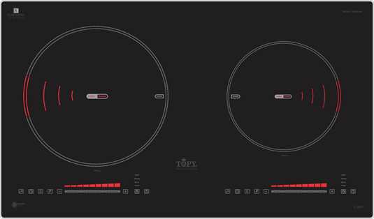Bếp từ Topy TP-A88 Plus